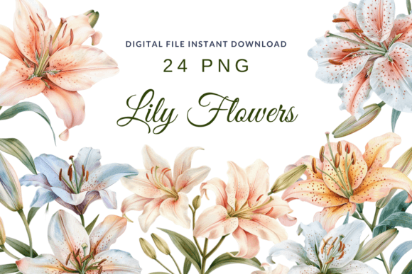 Download Watercolor Lilies Flower Lily Clipart - Color Collection