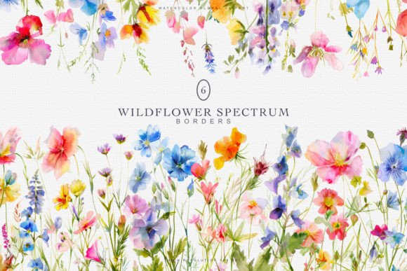 Download Watercolor Colorful Wildflowers Borders - Color Collection