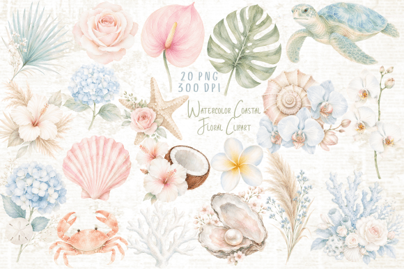 Download Watercolor Coastal Floral Clipart PNG - Color Collection